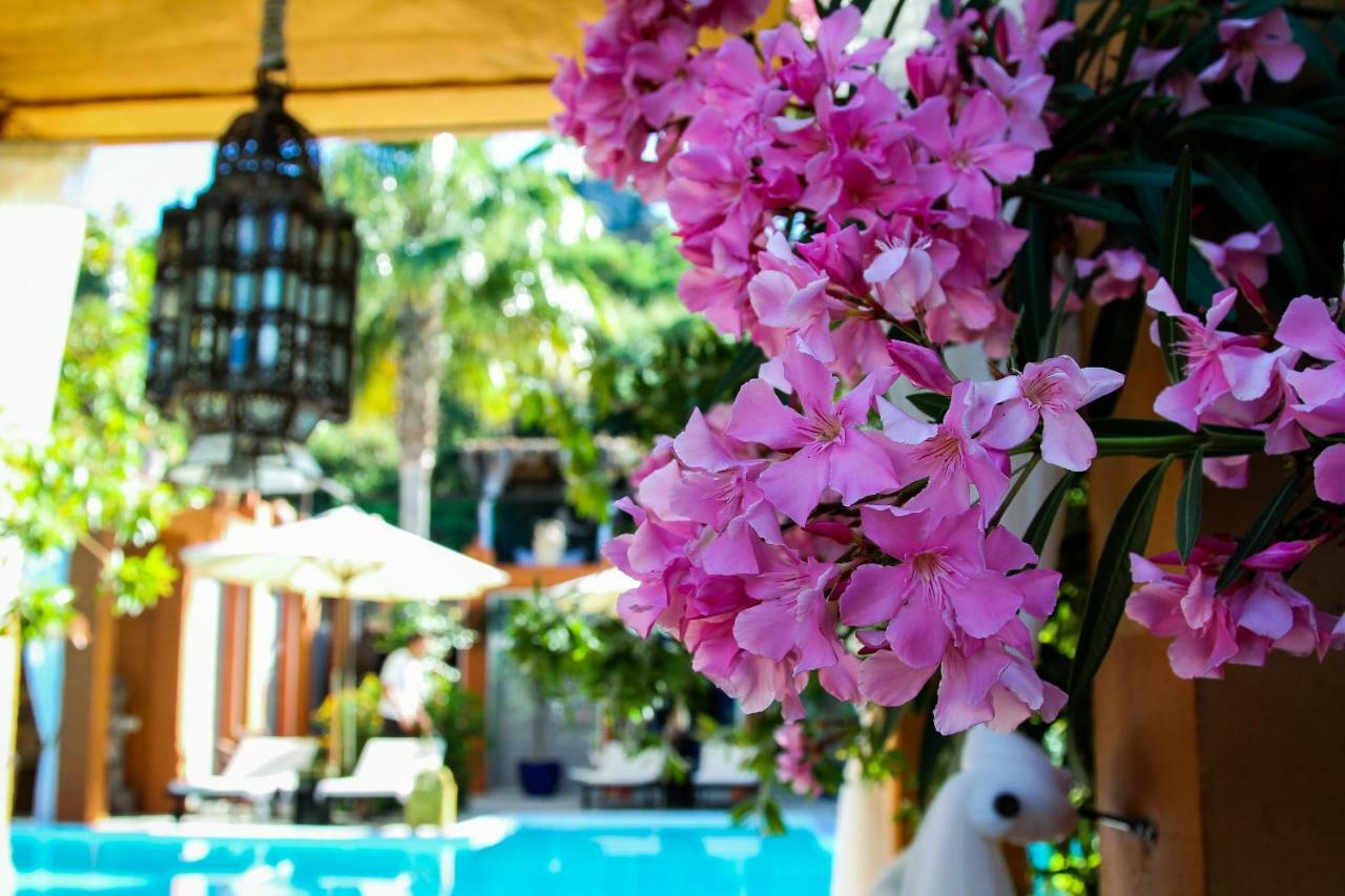 Ddg Retreat Hotel Casares Exterior foto